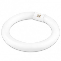 TUBO CIRCULAR FLUORESCENTE