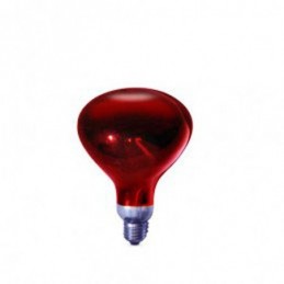 BOMBILLA INFRARROJOS 250W