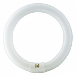 TUBO FLUORESCENTE CIRCULAR 40W