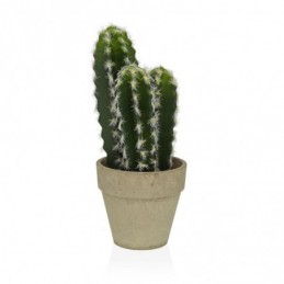 CACTUS DECORATIVO